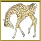 zoo-babies_11